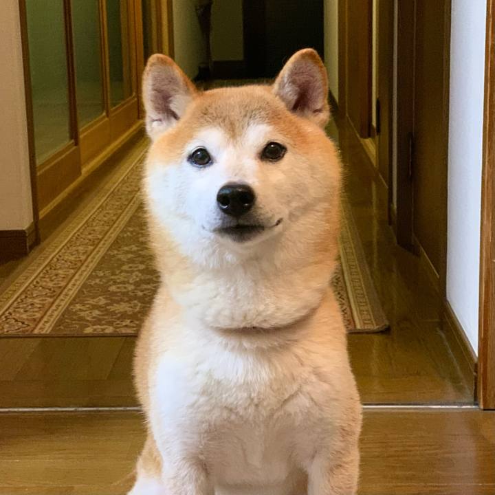 F5c1b992 1c2c 409e 82d5 4cc26180250e 1707047119128