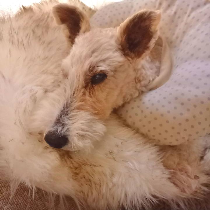 F5c1dc65 f98e 4ef2 b422 57b5eb5d36f4 1647905527486