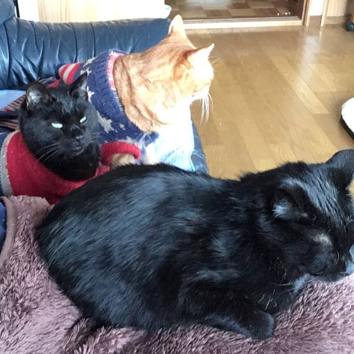 F5c1e1af 1040 49e1 ac14 2751f79fe7f9 1543703426638