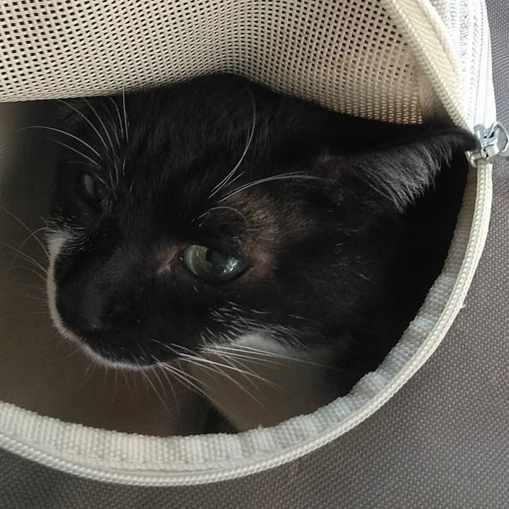 F5c1f59c 5ed0 4f8e bf68 a459fee1074b 1596725835075