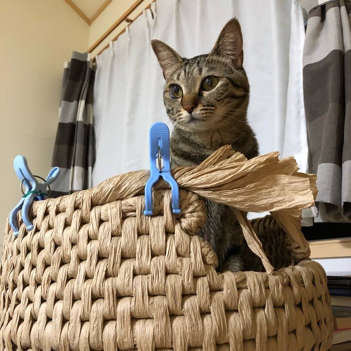 F5c236e5 e9eb 404c 9093 f73032c52fde 1526520815850