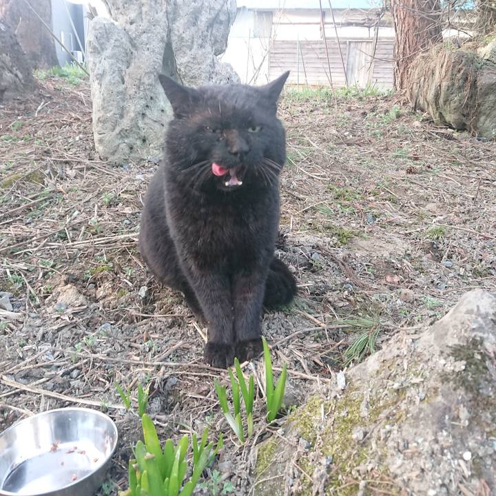 F5c2522d 3d53 416d 8763 59f1f8a75d8c 1649802146988