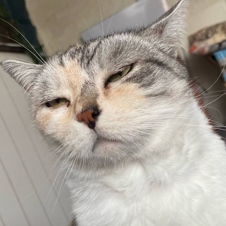 F5c265ea b0ab 4b42 9d72 612f6b153ba5 1626238400587