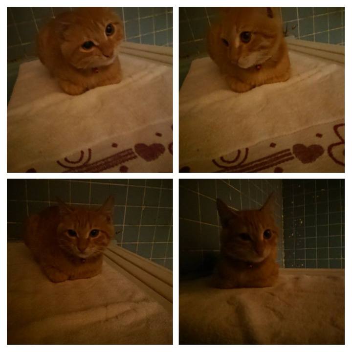 F5c2d1a9 ac82 4e6b 8d5c 01c88fcdde1d 1633512924237