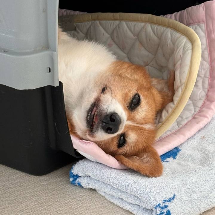 F5c2e1c6 f4fd 42e9 bf3c 1d6ade453f77 1760059960066