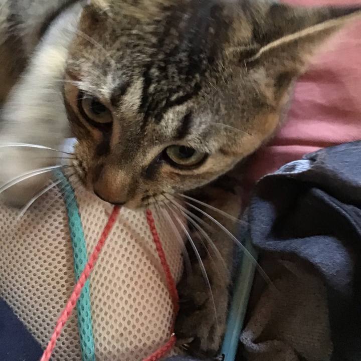 F5c2e4a2 f8fd 49b8 ac23 f067a26cc2ac 1582090996151