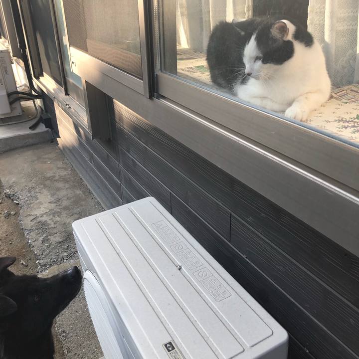 F5c30b8f e483 4d09 99fa 428139cd232c 1557906342499