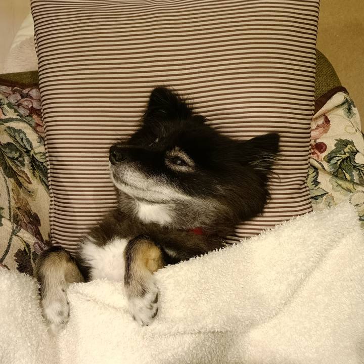 F5c3327e e537 42e9 86fd 8bbf5dce7803 1761304800744