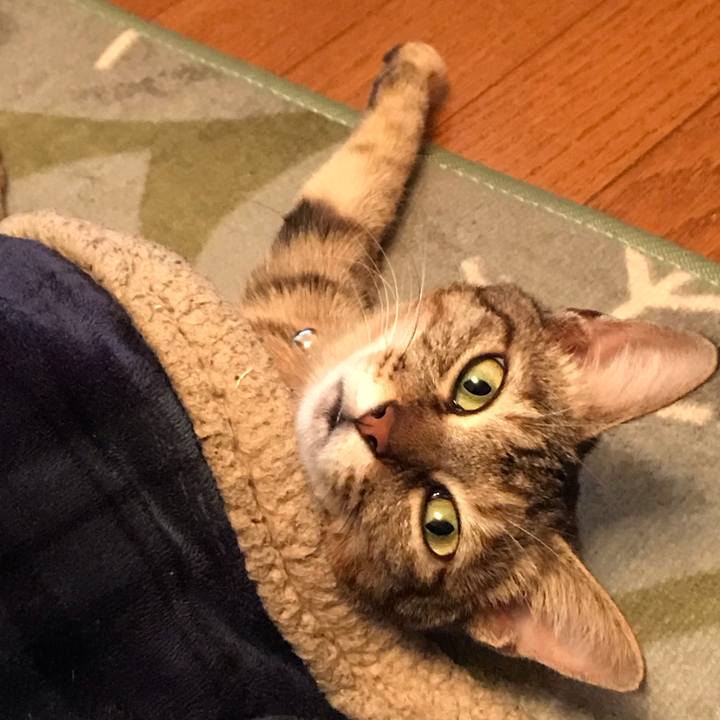 F5c334ae 24d9 4908 a532 64b1d3c6383f 1576911851335