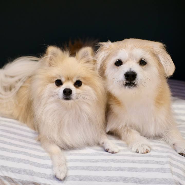 F5c34147 c119 4965 bfcd 0b053a89594d 1762033687434