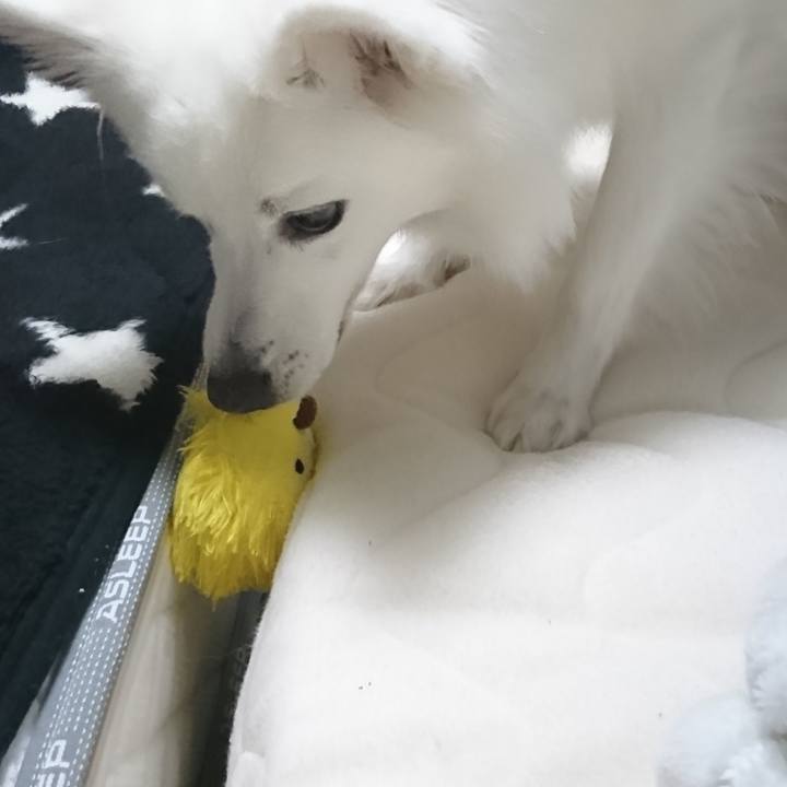 F5c34ef0 07e2 4088 9a0c 885d63ae4084 1523623347718