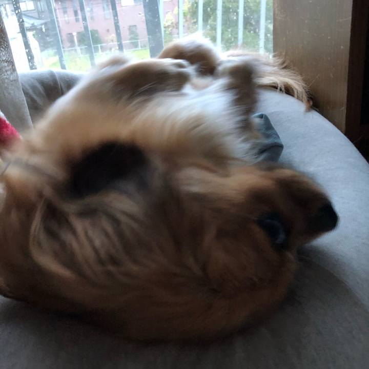 F5c36c52 b375 480d be4c 99c386157ae7 1570140580866