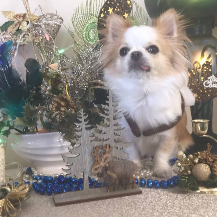 F5c3713e 77a5 4268 9bb8 4995abd1798f 1604753575781