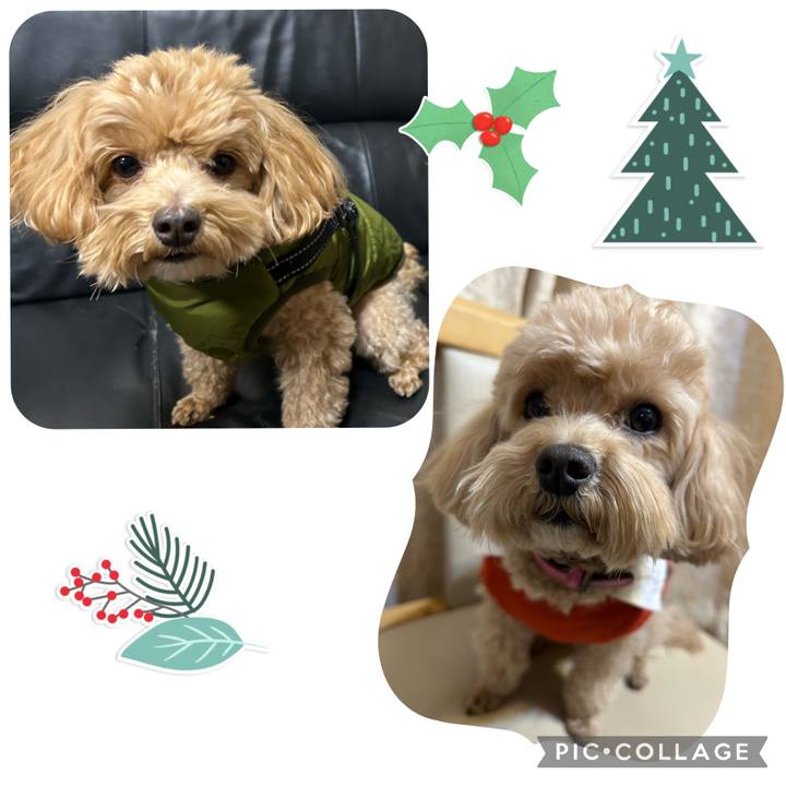 F5c37864 10ee 4396 b1cb 3dd8941fcfb5 1703246321940