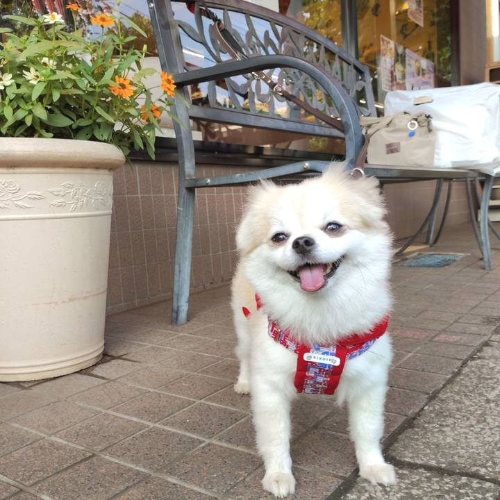 F5c3a9e0 0b30 409b 8cb2 b23b4b077975 1755956596119