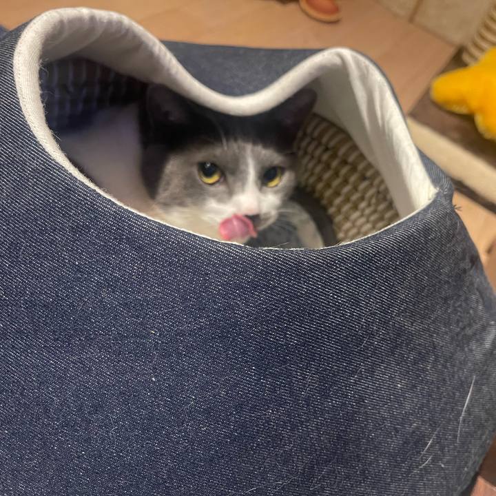 F5c3dd9f dc4d 4937 aa0e b745047689e9 1680605815480