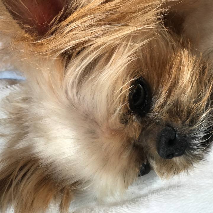 F5c478eb c370 48ca a8ec c2d1badeb32b 1573441775768