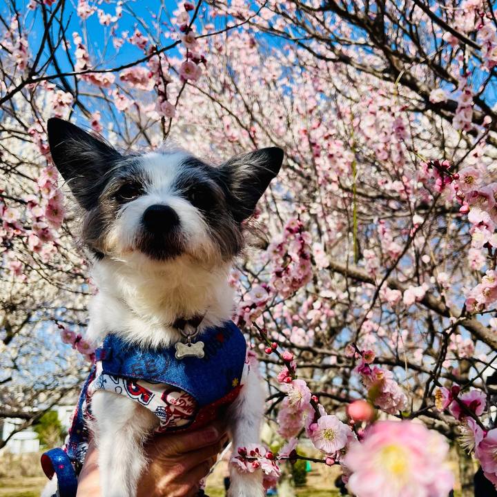 F5c48575 503d 43b2 9cbd dc3ce5953e23 1740901417054