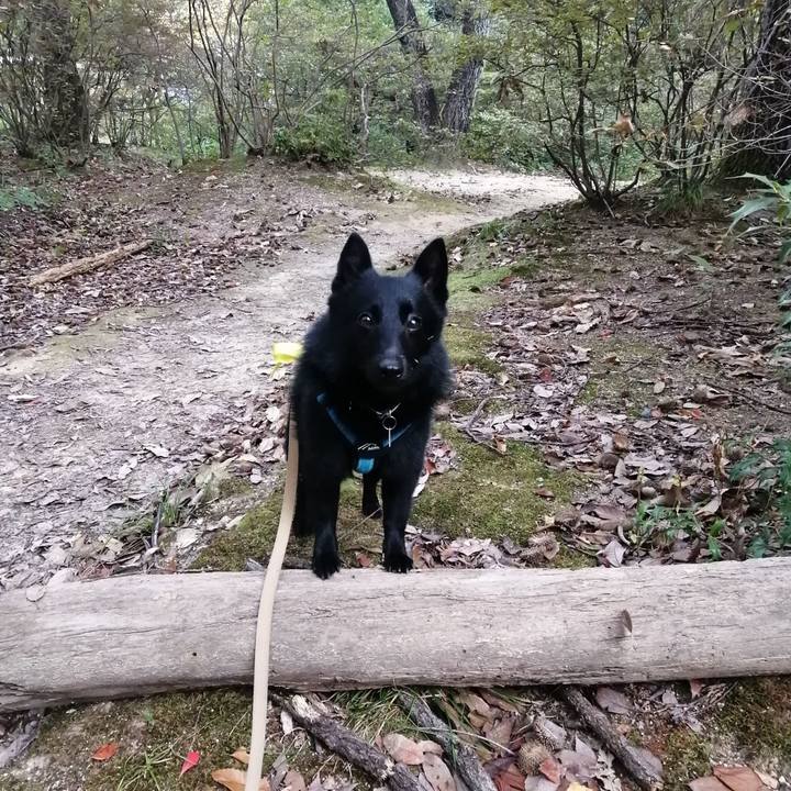 F5c487dd 2d43 4bef aa60 25bf5723899d 1666393866746