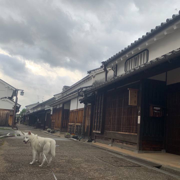 F5c4d943 b0ae 4fcd bd53 670afd60a886 1560646123379