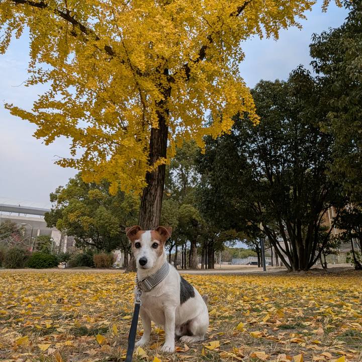 F5c4f314 67e9 4f0e 8629 634da5c6b10e 1765182008152