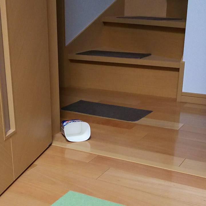 F5c51ead 2e5b 4e49 82c2 eda2af2a79f5 1533732168367