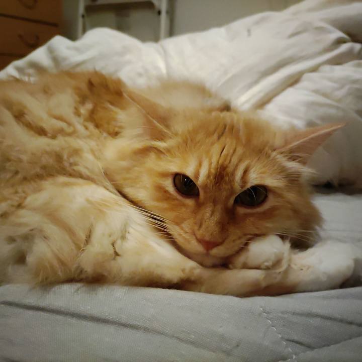 F5c52743 2642 455e b45f d4114eec7860 1688303177330