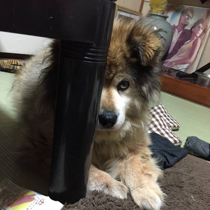 F5c537c8 09ca 4666 9421 88e71b1a5ad9 1548240069508