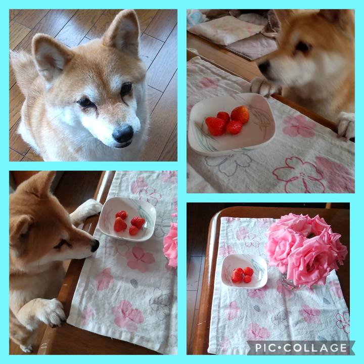 F5c55ac4 3af9 46c2 afcd cd39878d25d0 1747605747514