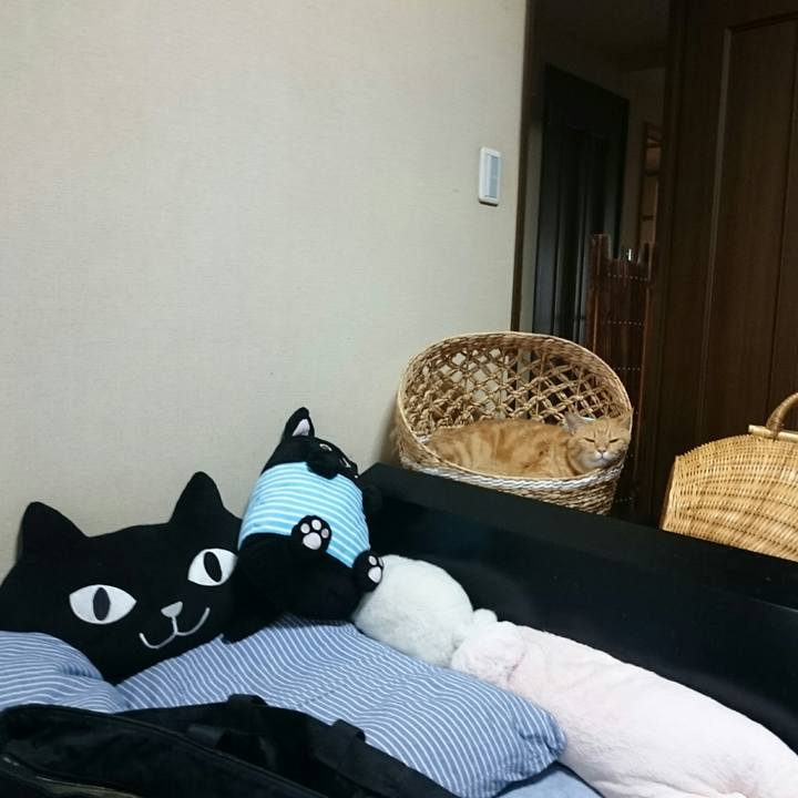 F5c57daa f528 4bba 871f 4d480129b3e4 1527550221532