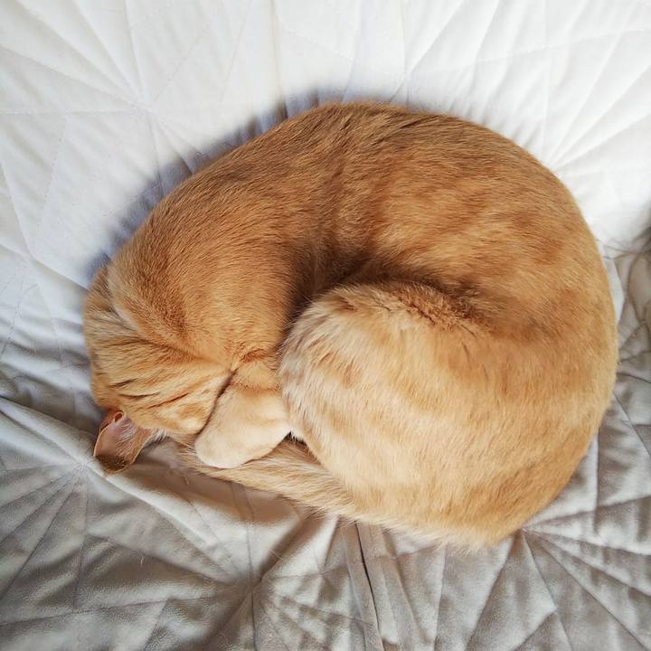 F5c58c54 d7b7 42c7 a33b b2dd216c237f 1637274260824