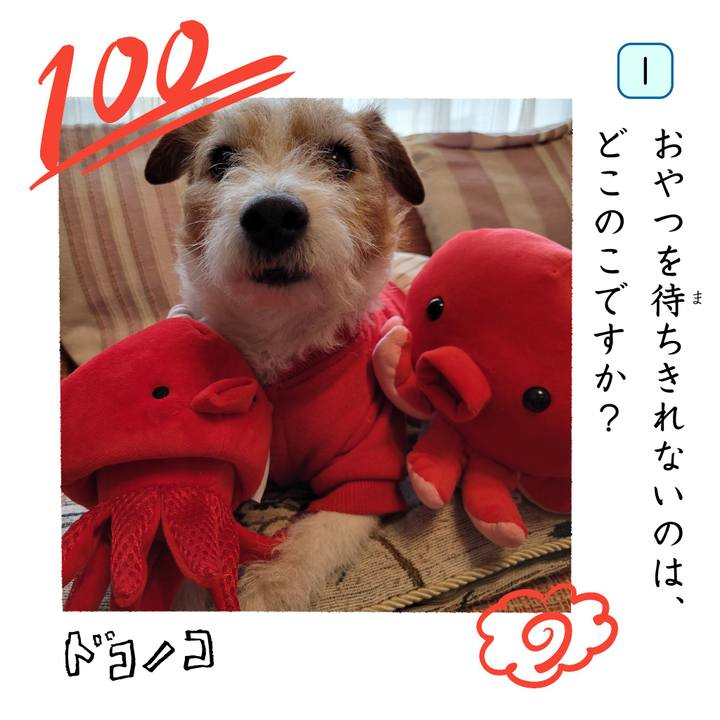 F5c5b606 31d3 47b9 bbf8 453e44afa663 1744344878868