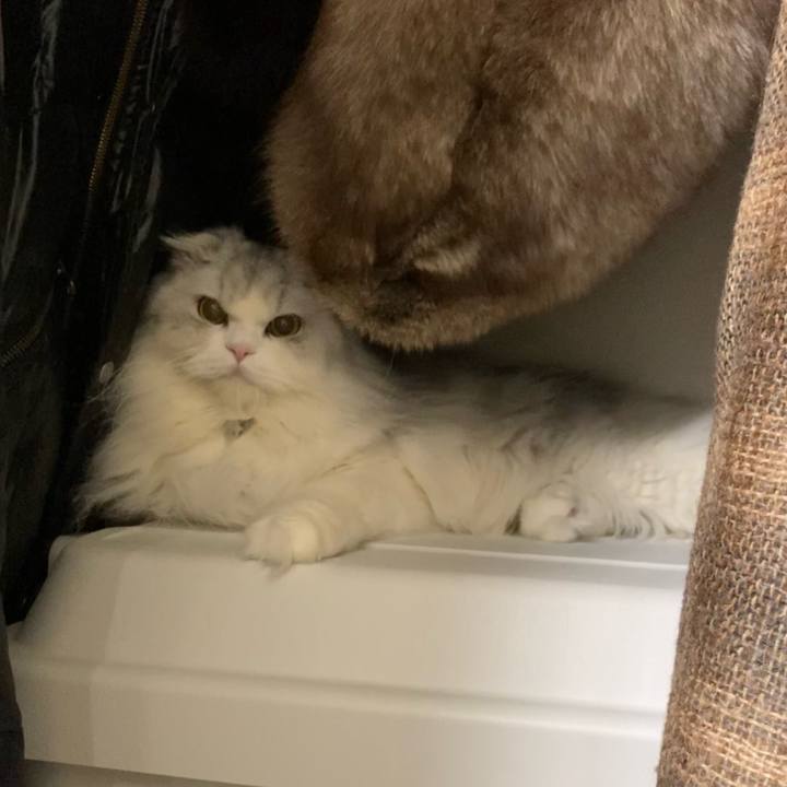 F5c5bf74 d3ce 4016 a9f9 30d945707664 1641636958829