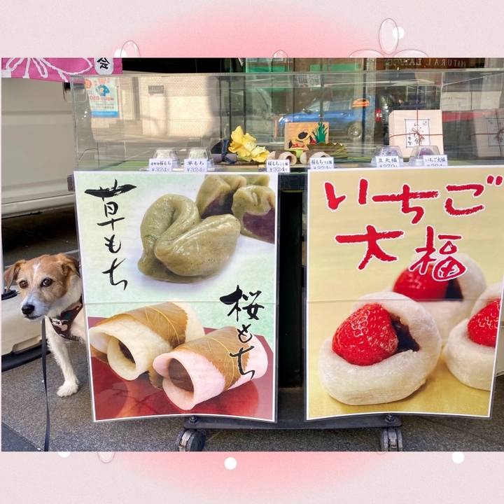 F5c5d92f 2809 4ec1 9d6c 124f448b35e9 1743784723674