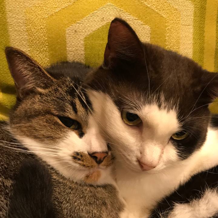 F5c5fda5 fc17 4897 9cac f78095e01e9e 1602588551905