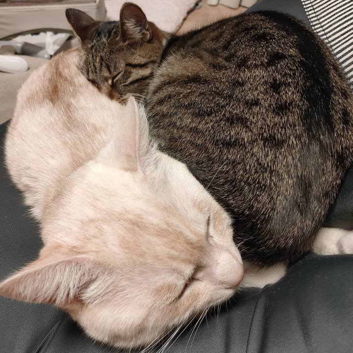 F5c610c1 ef35 4efb 90e3 60dddca7473a 1674550993284