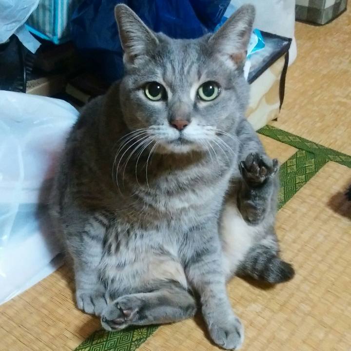 F5c61a89 d19b 4602 b55d 400844bc650f 1551331255312