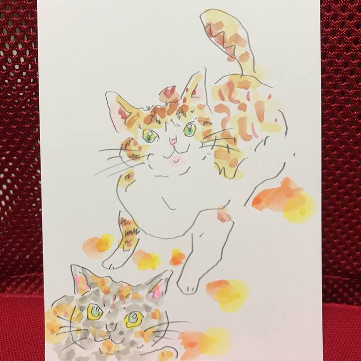 F5c66f2a 78d7 473a 9860 85b9b518899e 1542636346481