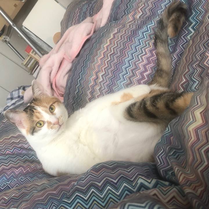 F5c67aad d0da 408e 80b2 d78365f2870c 1586675243552