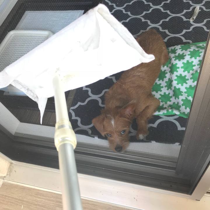 F5c69ad6 9d05 45ae 8f9d 7142bd9d6a51 1530404747880