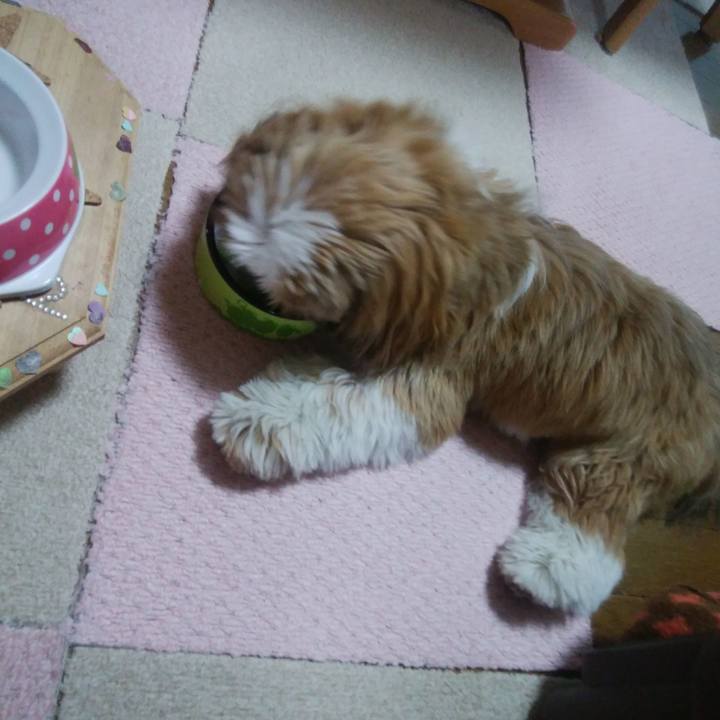 F5c69eaf 2a60 421f a2a8 66d5e8c0b652 1549285264853