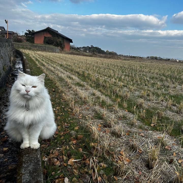 F5c6d45c 858a 422a 8948 e54a99cf75dc 1767684983738