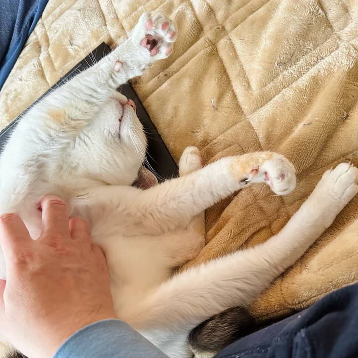 F5c6f8eb c130 49c4 85ac 285e886c39d4 1699492711173