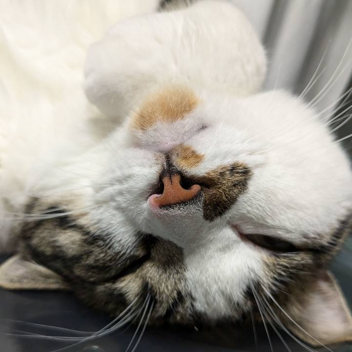 F5c70a4f 5e9c 4b0c 8ea1 95c52ef2c104 1720697893679