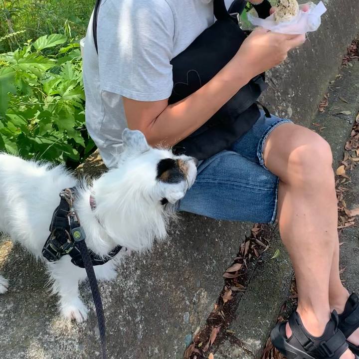 F5c7199d c316 4994 ac0f 3b394c1db2b7 1654395810426