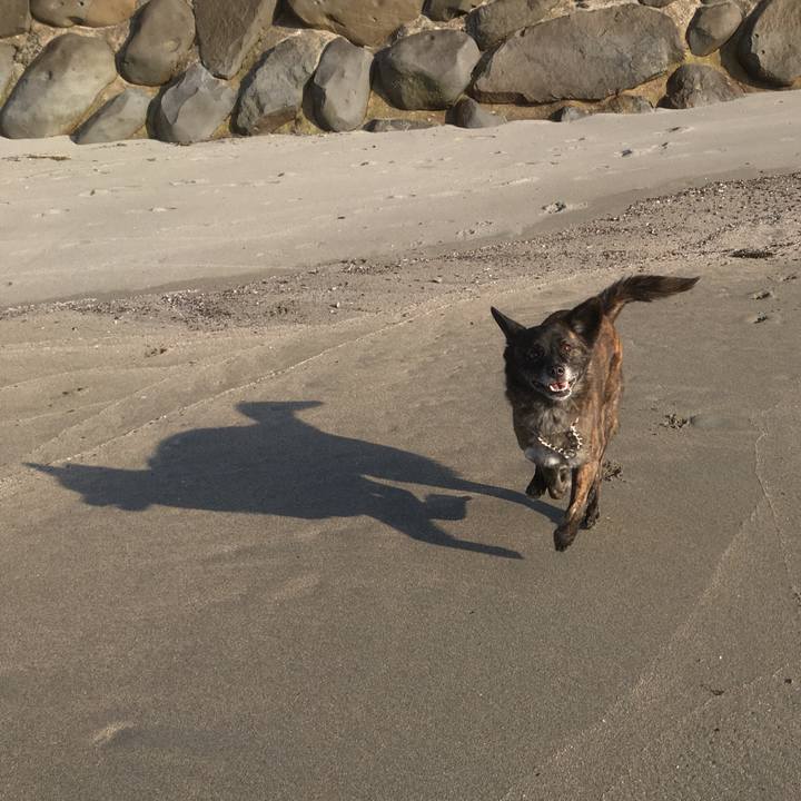 F5c729fb 7980 4701 8728 33cac18dc0aa 1521698143395