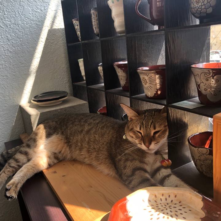 F5c731ed 1112 4982 9d39 8871e4b53382 1632723003066