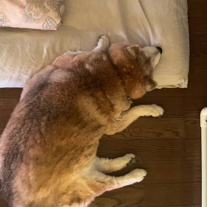 F5c75c0a a302 48e2 8c90 a09942f4ed29 1653433246766