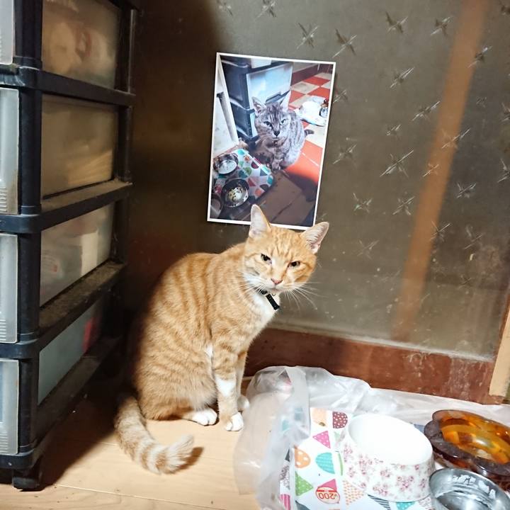 F5c768f7 3257 4687 9bdd d25569f9b921 1602535443750