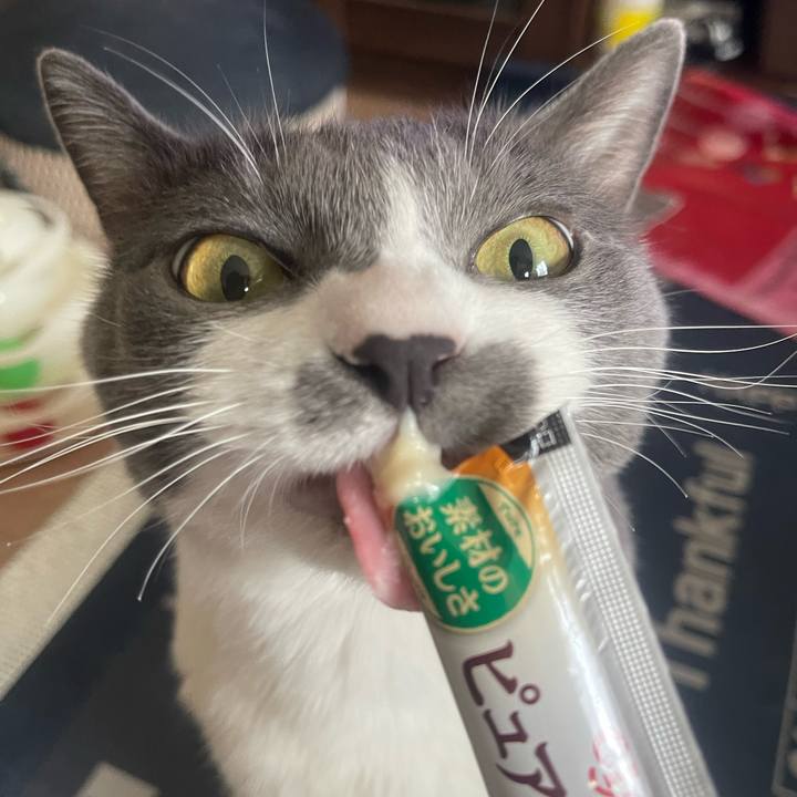 F5c78304 836d 4d33 8d28 f5698534d7fa 1722839639752